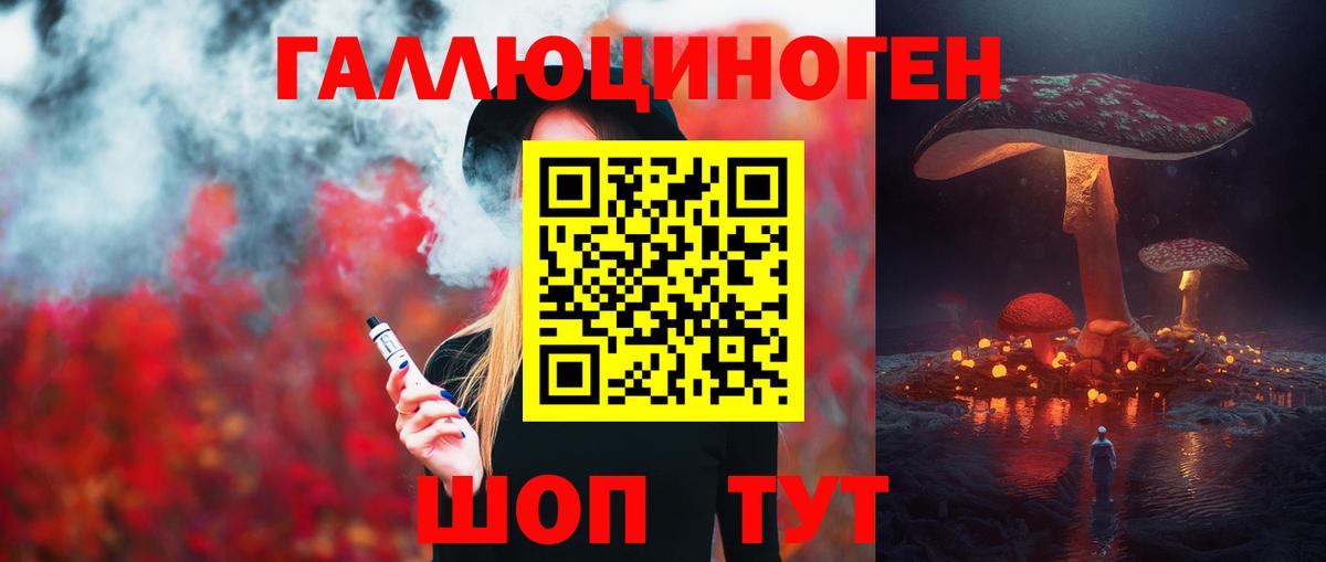 Алушта  Псилоцибиновые грибы MAGIC MUSHROOMS  Вход с VPN 